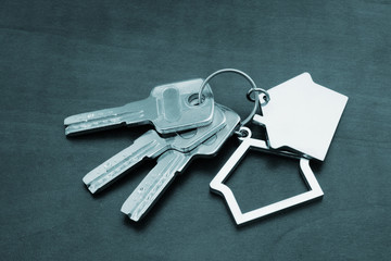 Bunch of silver coloured keys on dark table with key chain