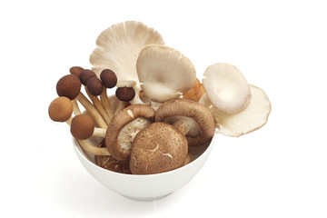 Mixed mushroom