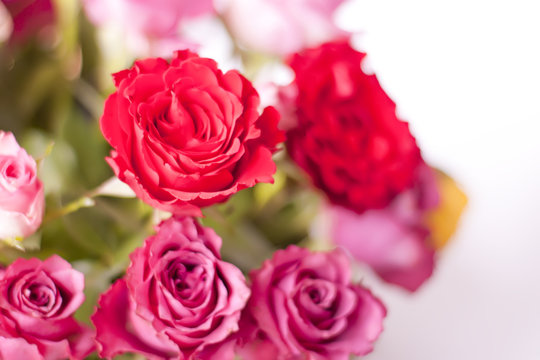 Beautiful pink and red roses in a basket.
