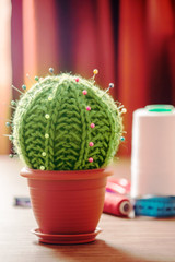 Cactus as a handmade needle bed on table. Sewing accessories, colored spools of thread