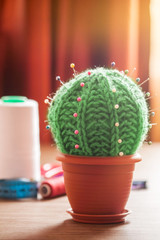 Cactus as a handmade needle bed on table. Sewing accessories, colored spools of thread