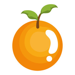 orange citrus fruit icon vector illustration design