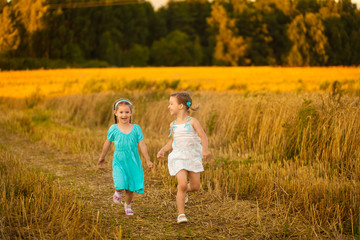 Fototapeta premium Children in wheat field on warm and sunny summer evening