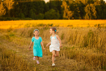 Children in wheat field on warm and sunny summer evening