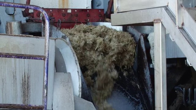 Machine processing sugar cain pulp at Depaz distillery on Martinique island