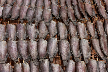 Single sunshine dried fish made from trichogaster pectoralis