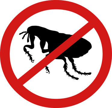 Beware of fleas.