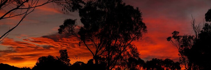 Fototapeta na wymiar Vivid red and orange morning sunrise Victoria Australia