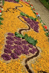 Fototapeta na wymiar dywany z kwiatów
