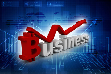 3D rendering business word on color isolated background