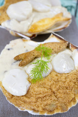 coquille saint-jacques