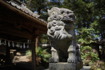 田舎の古い神社