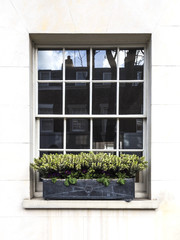 Traditional Door to 18th Century London Georgian Town House 