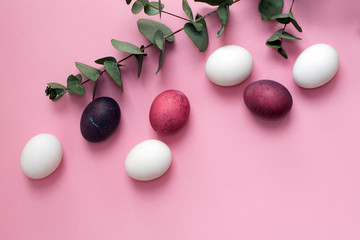 multicolored easter painted eggs in pink and white tones with a green eucalyptus branch on a pink background