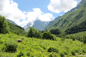 Obraz premium Mountain landscape