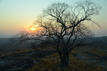 Obraz na płótnie Canvas The African sunrise. Zimbabwe