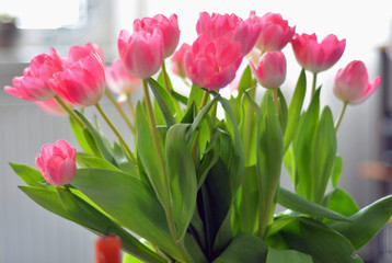 Tulpenstrauß