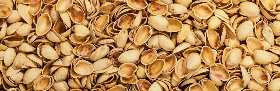 Pistachio shells. Empty Pistachio Nut Shell. Panoramic image. Selective focus.