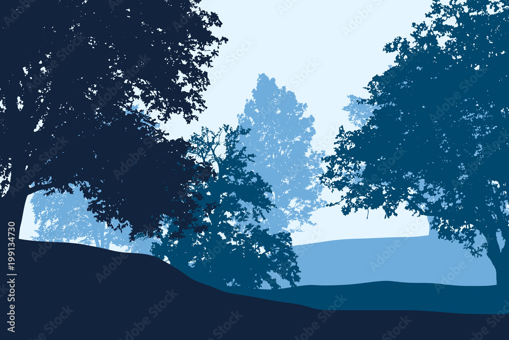 Wall mural deciduous forest between hills under blue clear sky