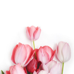 floral background of pink tulips