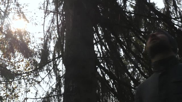 alone man looks up standing in forest. concept adventures