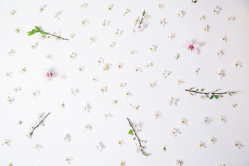 white flowers arranged on a white background like pattern
