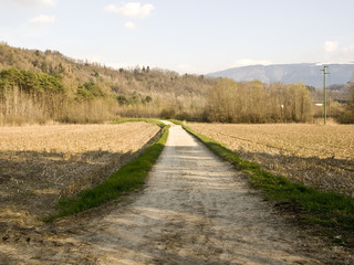 Fototapeta na wymiar sentiero, strada stradina di montagna, trekking, jogging, Belluno, Veneto, Italia
