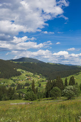 Fototapeta na wymiar Amazing view of beautiful cloudy summer landscape and village in distance. Tops of mountains and old thick wood growing on hills. Vertical color image.