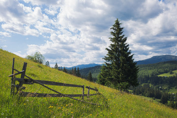 Beautiful summer countryside area with green grassy meadow full of yellow flowers, trees, mountains and blue sky. Village in distance. Horizontal color photography.