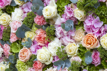 flowers background