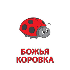Cartoon Ladybug Flashcard for Children