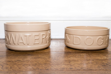 Ceramic dogg food and water bowl