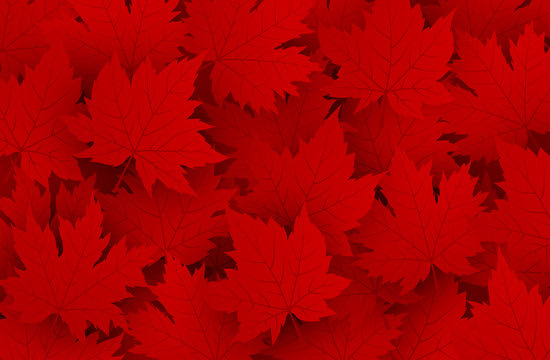 Canada day design of red maple leaves background with copy space vector illustration