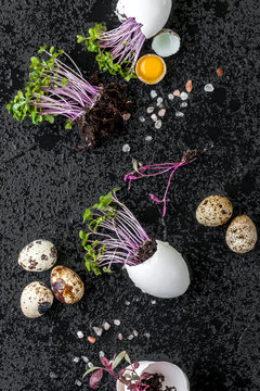 Fresh watercress salad in eggshell and quail eggs on a wet black background..
