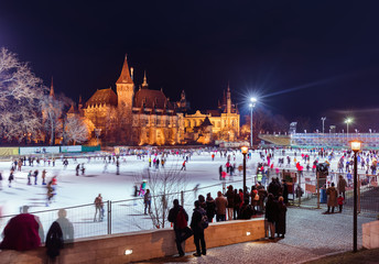 Obraz premium Vajdahunyad castle in Budapest Hungary