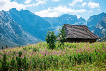 Fototapeta na wymiar Hala Gasienicowa, Tatra mountains Zakopane Poland