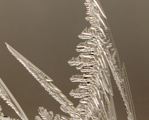 Drawings on the glass in the frost