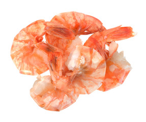 jumbo Shrimp