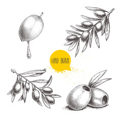 Sketch hand drawn olives set. Olive fruit with oil drop, boneless olives and olive branches with leaves. Vector illustration isolated on white background.