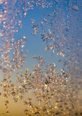 Figures on the glass from the frost at sunrise as a background