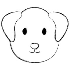 cute dog head pet friendly vector illustration design