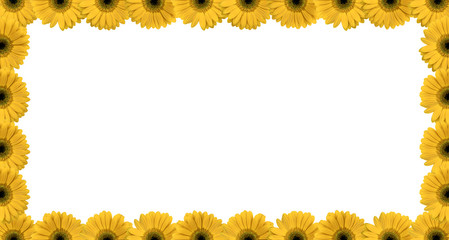 Yellow Flowers Frame