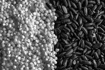 Monochrome Texture of Coarse black rice separated with wheat millet porridge The concept of proper...
