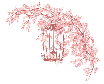 open bird cage among blooming cherry tree branches - spring season vector design