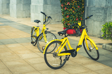 Fototapeta na wymiar Two Retro bicycles on street in city ,pastel colour.