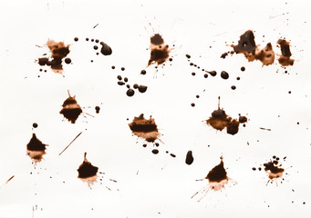 Collection of dry coffee stains on white background