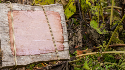 Plaque for inscriptions in the forest