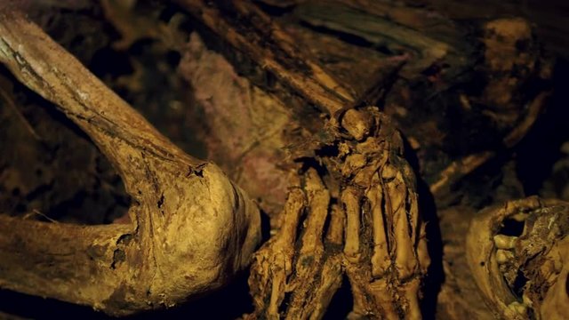 Ancient Ibaloi fire mummy in Kabayan, northern Luzon, Philippines. The famous Ibaloi mummies were made from as early as 2000 BC and can be found in caves along the mountain slopes of Kabayan.