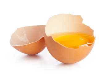 egg on white background