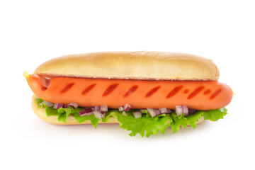 Fresh hot dog isolated on white